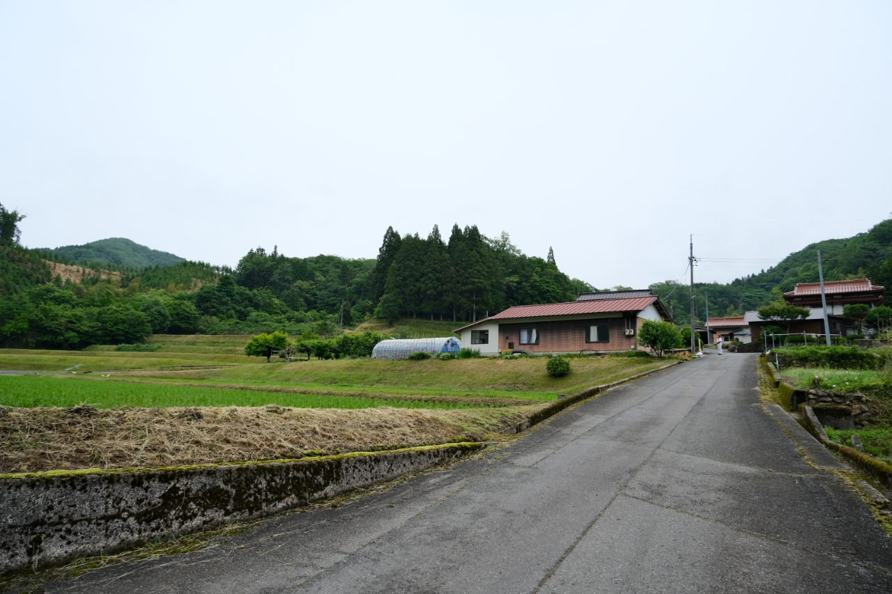 メダカのお家　みさと