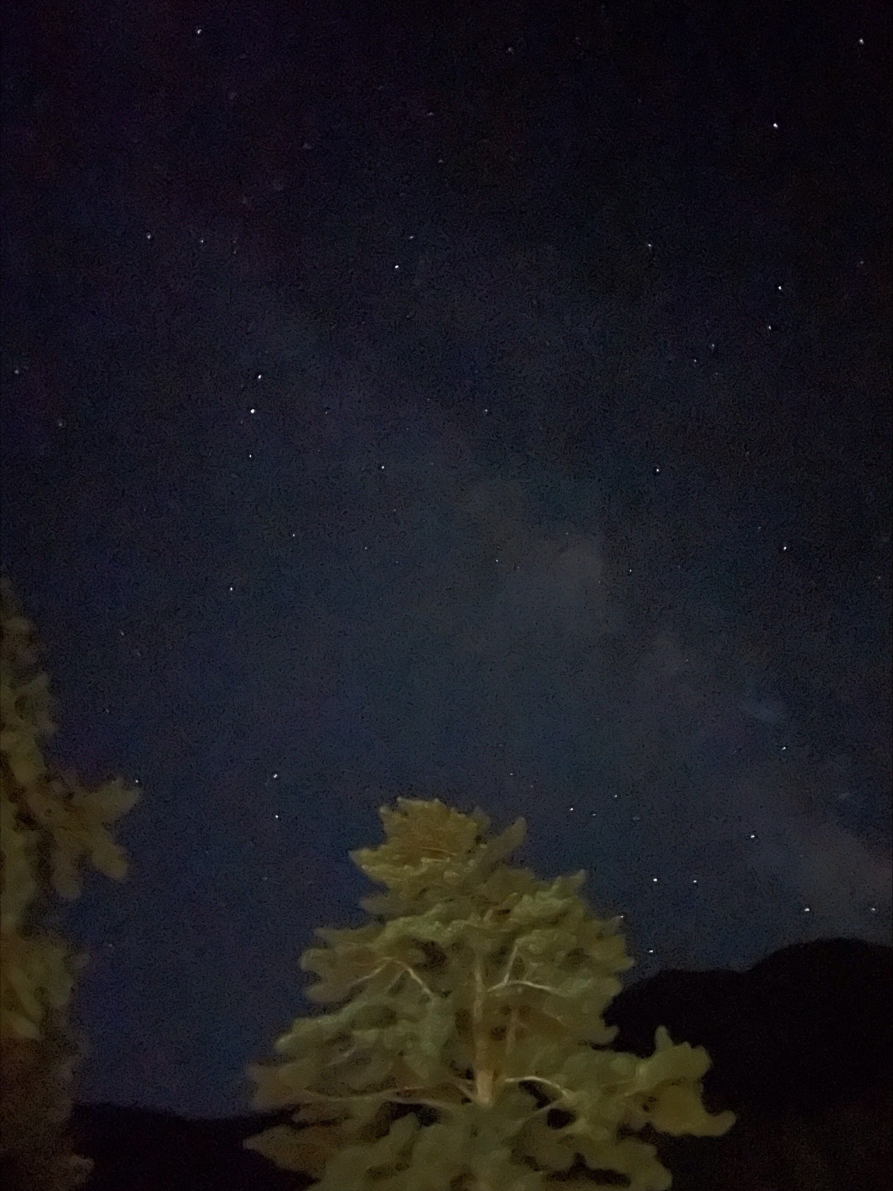 三瓶自然館サヒメルの外から見た星空