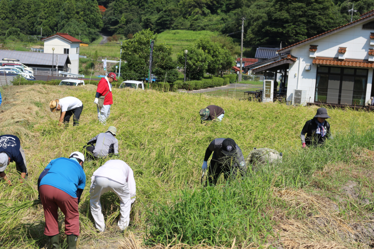 島根県大田市温泉津町西田　無形の民俗文化財「ヨズクハデ」