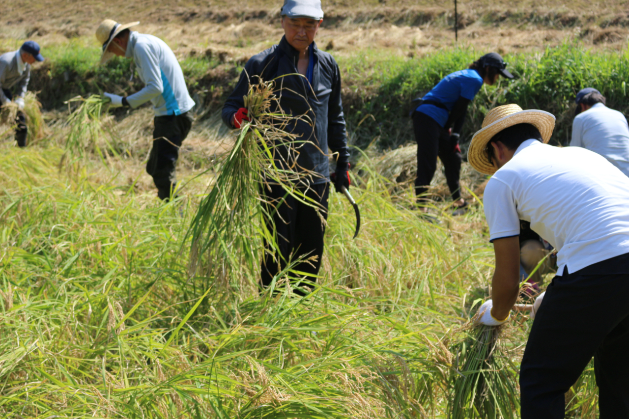 島根県大田市温泉津町西田　無形の民俗文化財「ヨズクハデ」