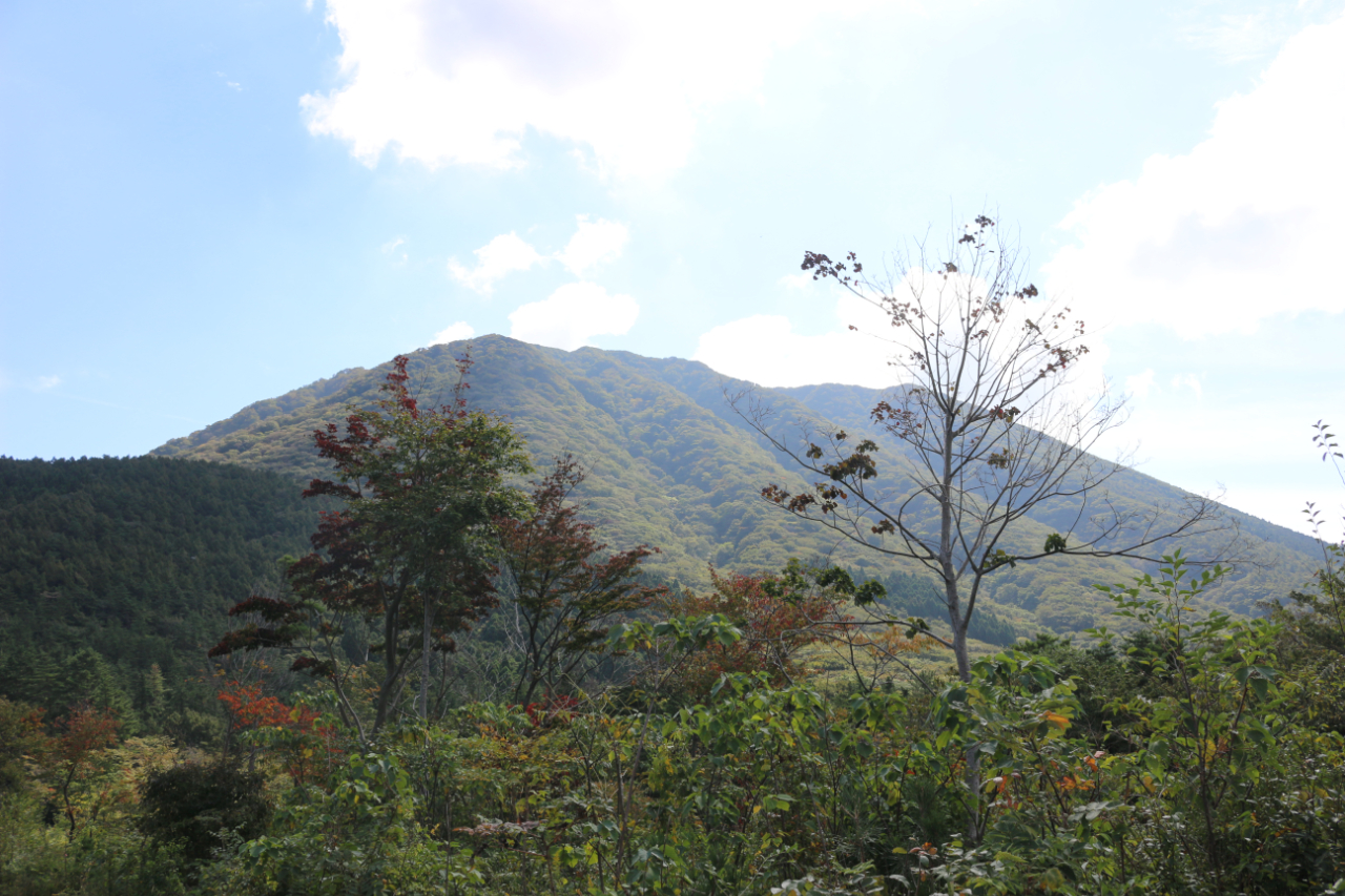 三瓶山北の原に新しいトレランコース