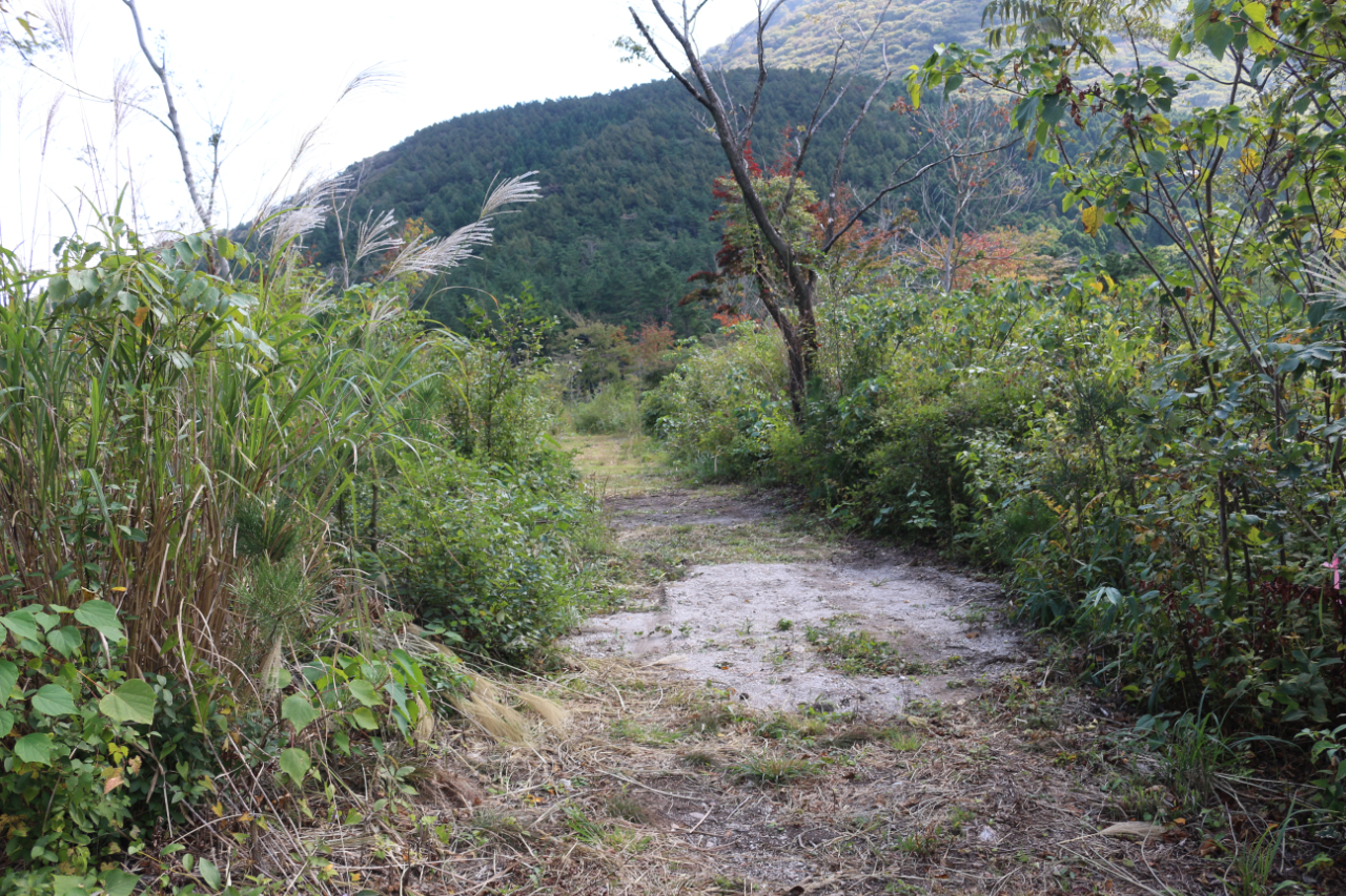 三瓶山北の原に新しいトレランコース