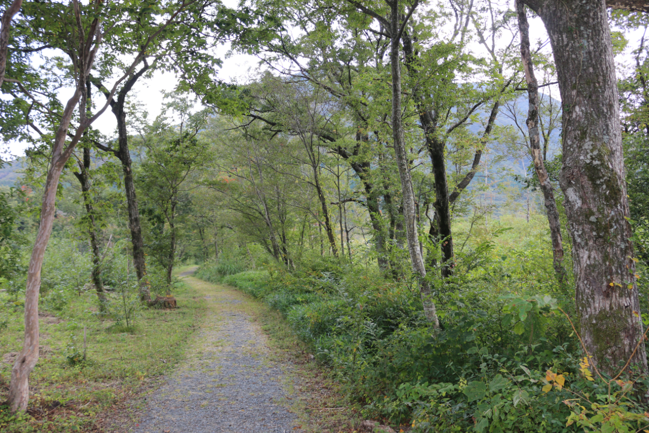 三瓶山北の原に新しいトレランコース